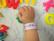 Little Gulliver Disposable Wristbands - Berry 10 Pack
