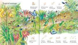 1001-bugs-to-spot-sticker-book-tropical-treetops-example
